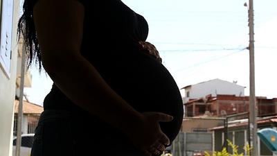 zika.jpg