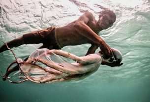 Integrante da tribo Bajau pesca um polvo para o almoço