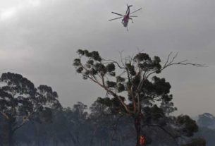 Helicóptero sobrevoa árvore em chamas em Melbourne