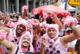 O carnaval de rua do Rio de Janeiro reuniu quase 6 milhões de pessoas desde a abertura oficial da festa, no dia 12 de janeiro
