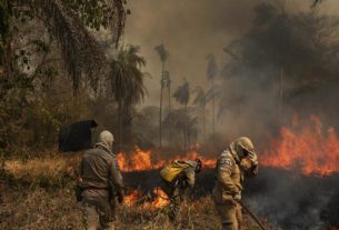 Incêndios se espalham por Norte e Centro-Oeste e impactam Sul e Sudeste do Brasil