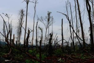 Territórios registram altos números de focos de calor em setembro, após área desmatada mais que dobrar em 2019