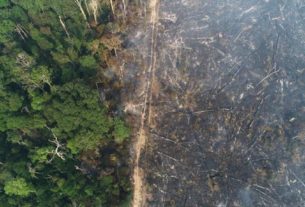 Área de Floresta Amazônica queimada perto de Apuí, no Amazonas, em agosto de 2020