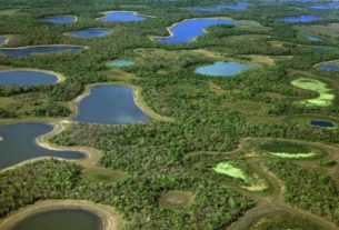 Compensação é prevista no Código Ambiental e tem o objetivo de reforçar proteção florestal