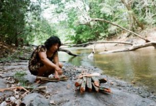 Pelo sexto ano seguido, o território indígena de Cachoeira Seca, no Pará, teve perda contínua de floresta