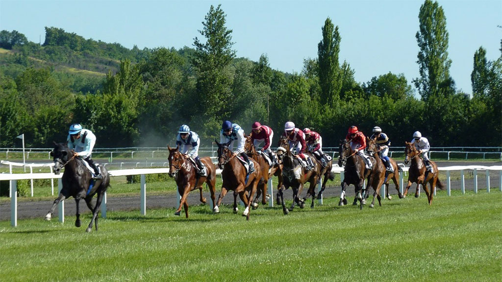 Corrida de cavalos