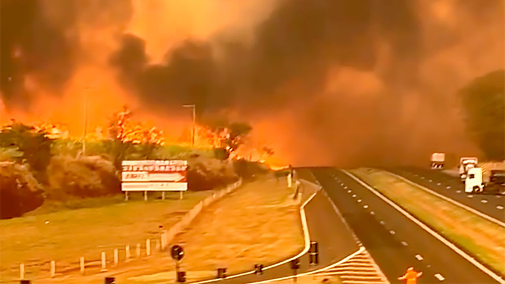 Incêndios,Ribeirão Preto